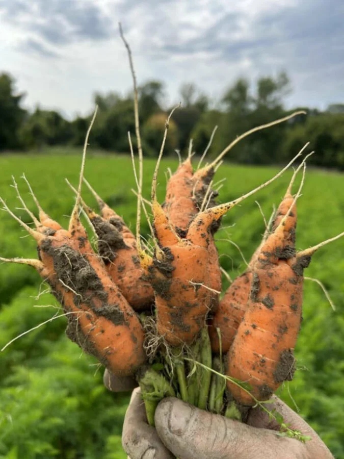 Bad Days Happen (23 pics) Bad Days Happen (23 pics)