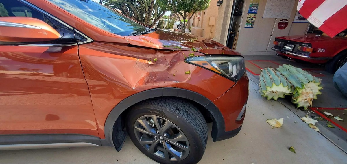 Unfortunate Situations (29 pics) Unfortunate Situations (29 pics)