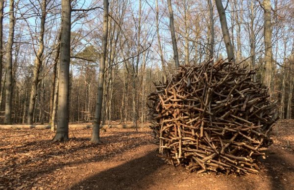 Strange Finds In The Forests (15 pics)