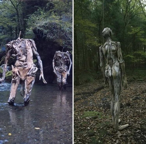 Strange Finds In The Forests (15 pics)