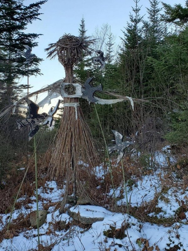 Strange Finds In The Forests (15 pics)