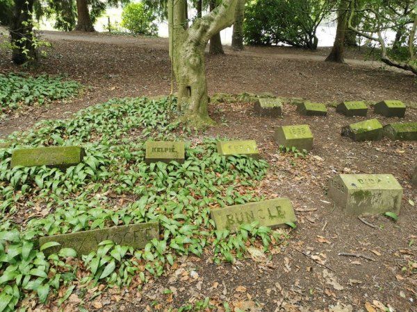 Strange Finds In The Forests (15 pics)