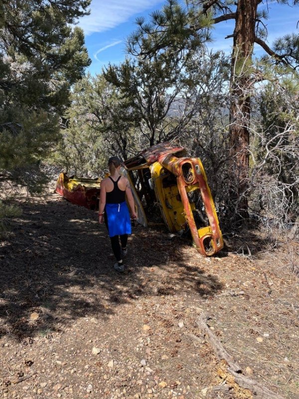 Strange Finds In The Forests (15 pics)