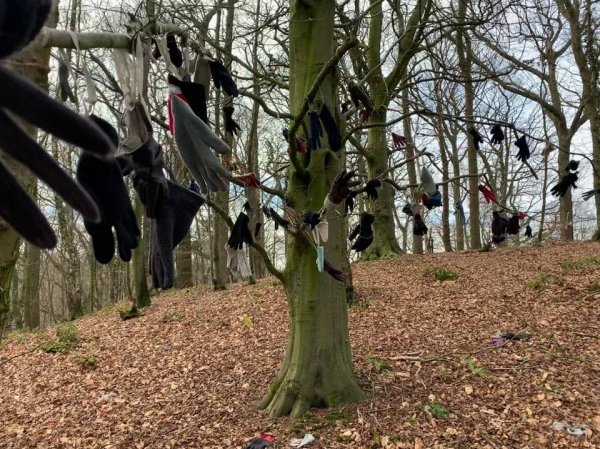 Strange Finds In The Forests (15 pics)