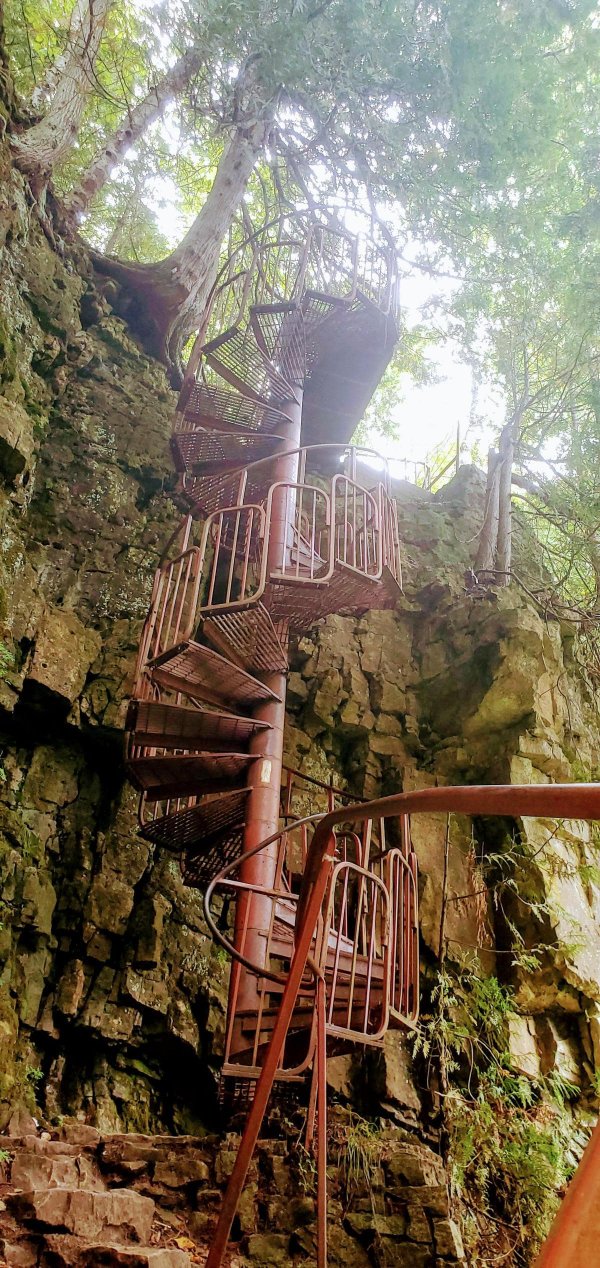 Strange Finds In The Forests (15 pics)