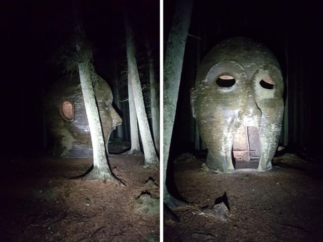 Strange Finds In The Forests (15 pics)