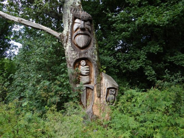 Strange Finds In The Forests (15 pics)
