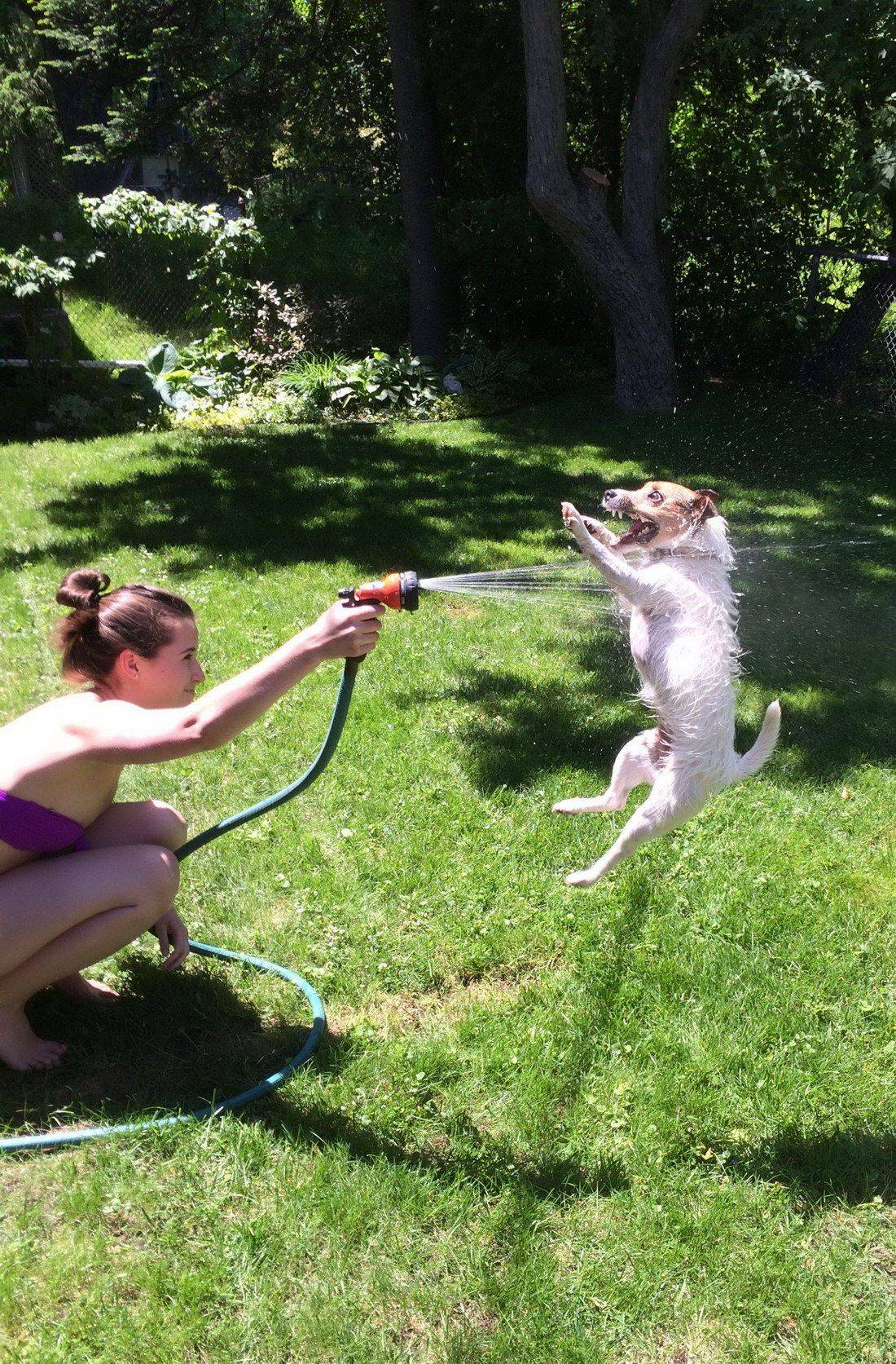 Daily Pictures. Part 1 (67 pics) Daily Pictures. Part 1 (67 pics)