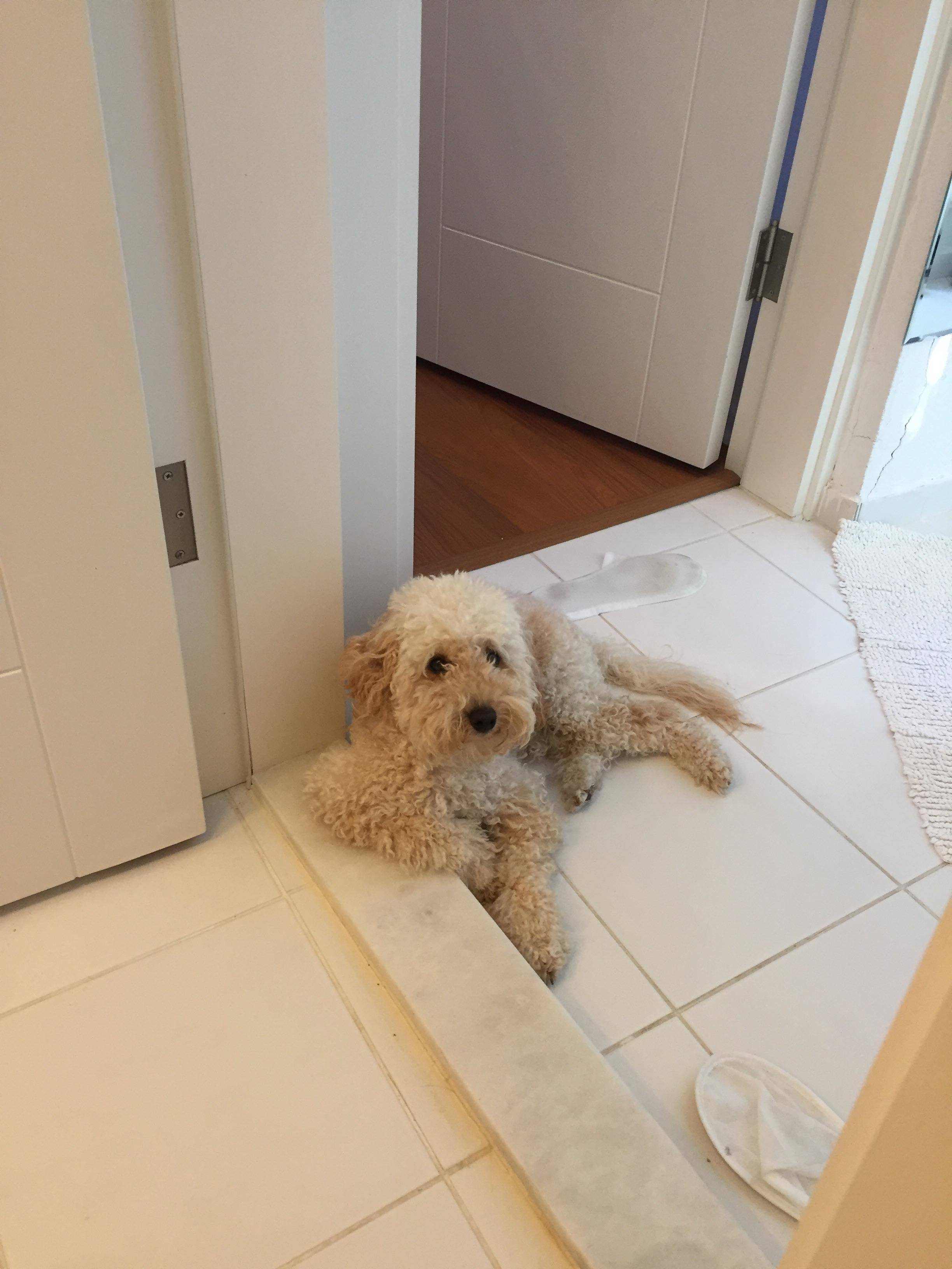 Daily Pictures. Part 1 (67 pics) Daily Pictures. Part 1 (67 pics)