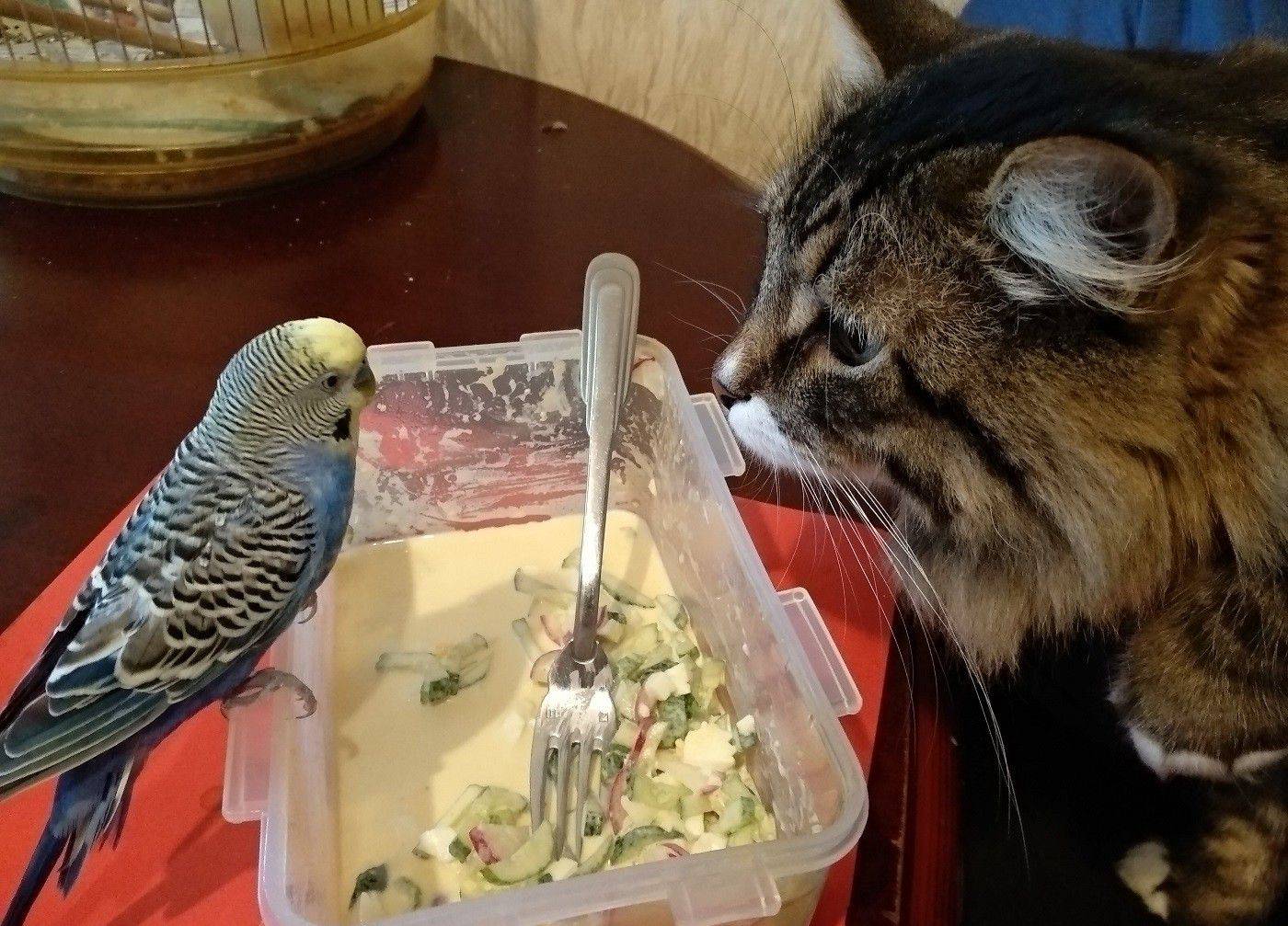 Daily Pictures. Part 1 (67 pics) Daily Pictures. Part 1 (67 pics)