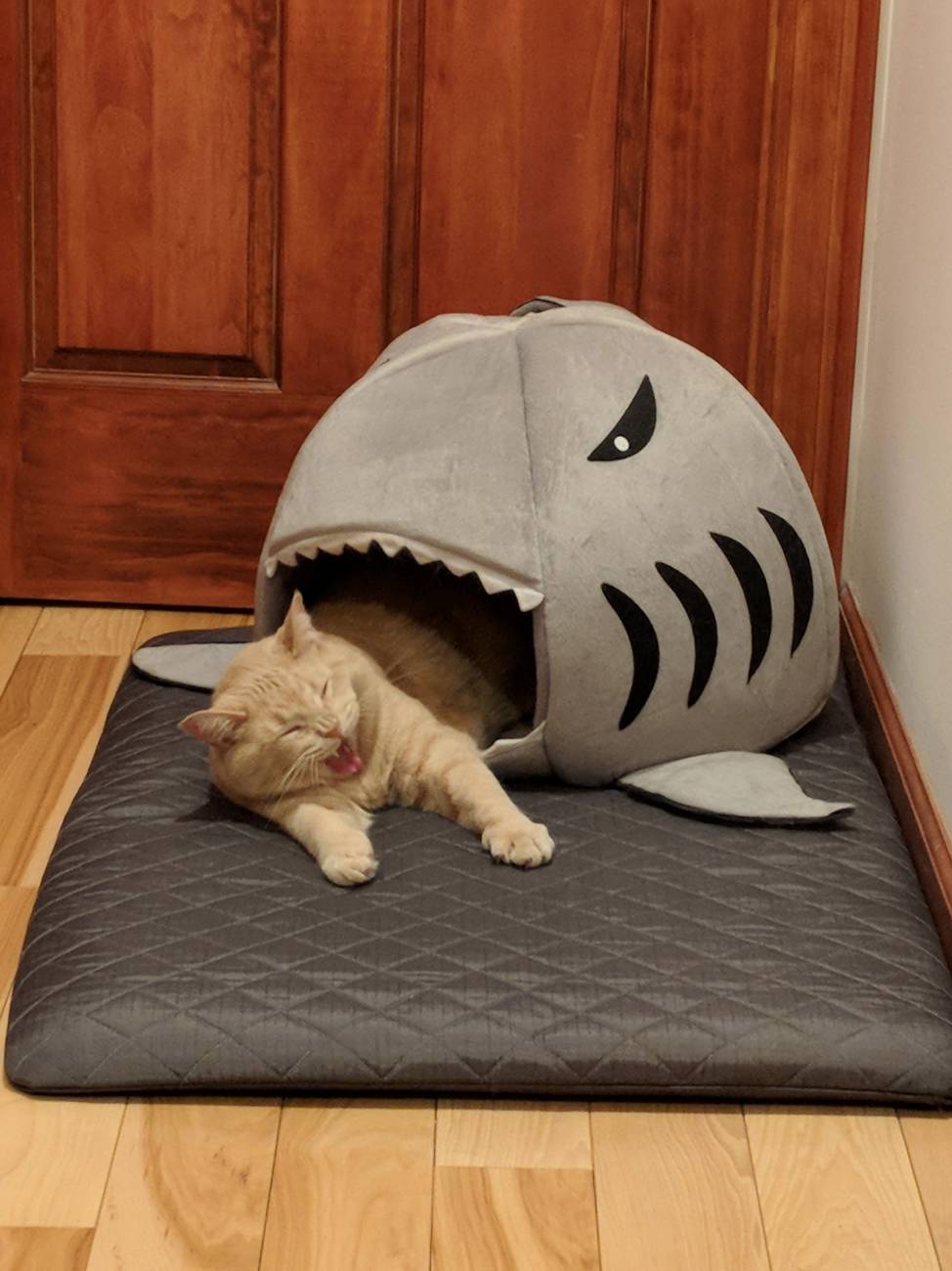 Daily Pictures. Part 1 (67 pics) Daily Pictures. Part 1 (67 pics)