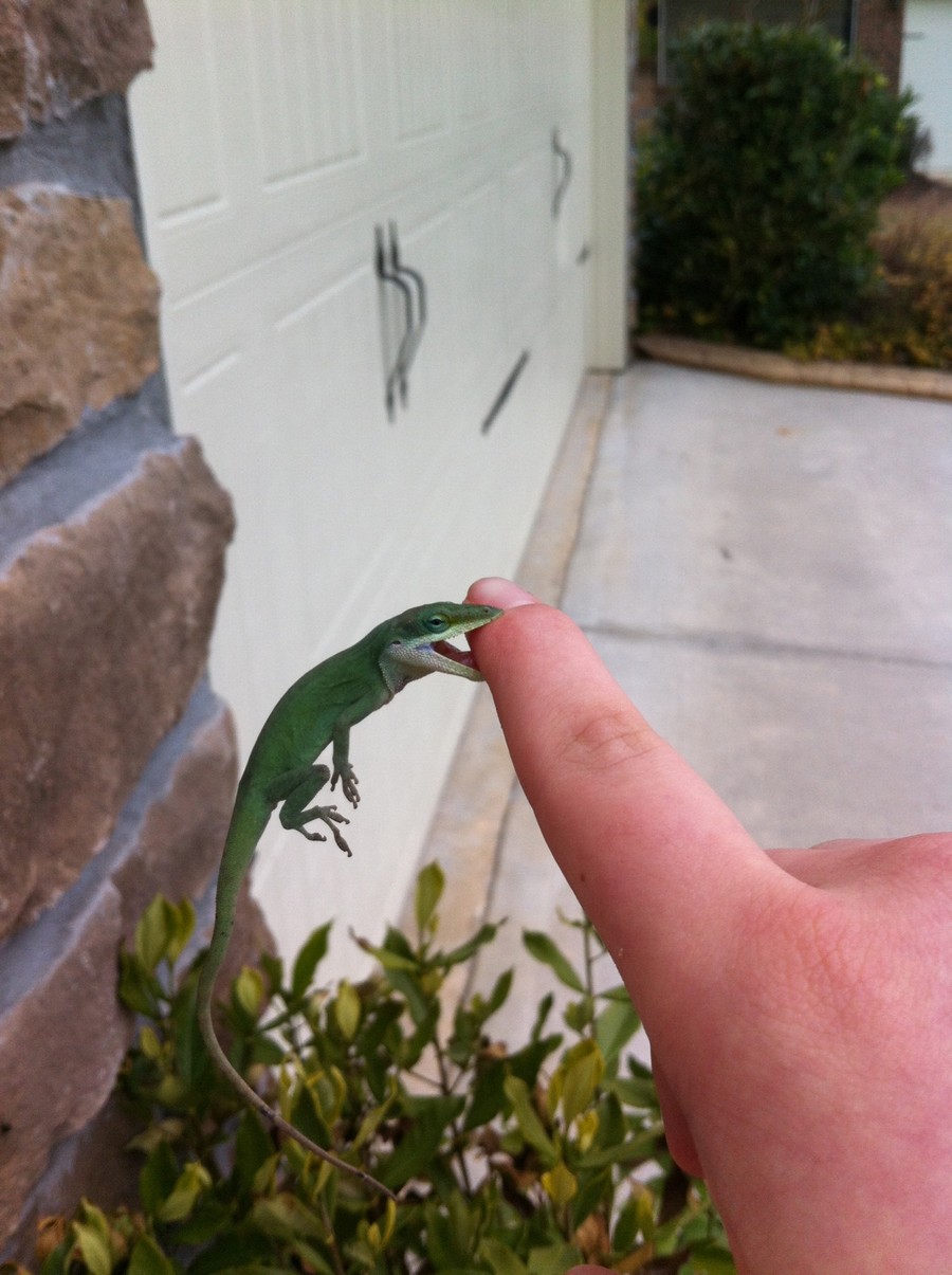 Daily Pictures. Part 1 (67 pics) Daily Pictures. Part 1 (67 pics)