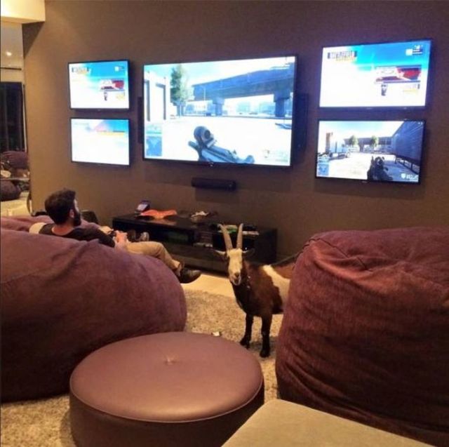 Daily Pictures. Part 1 (67 pics) Daily Pictures. Part 1 (67 pics)