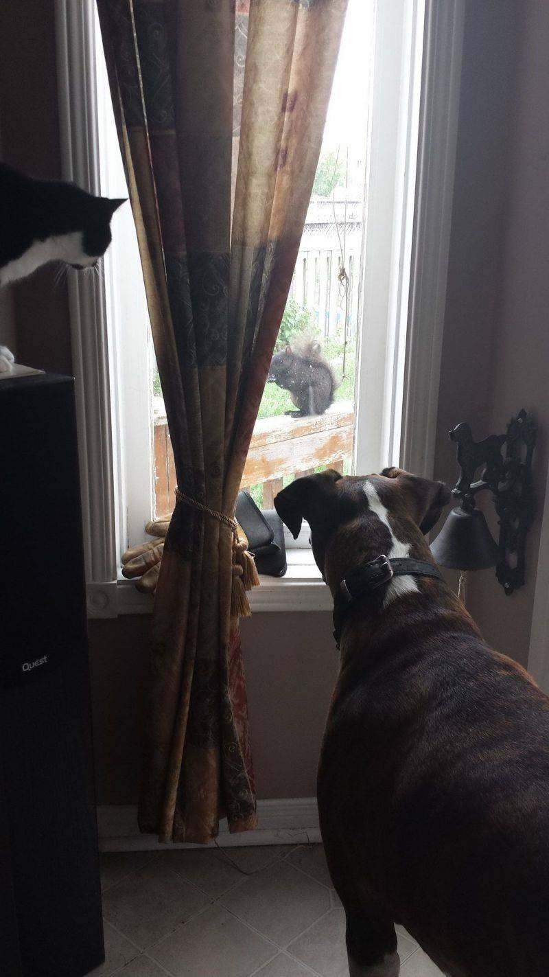 Daily Pictures. Part 1 (67 pics) Daily Pictures. Part 1 (67 pics)