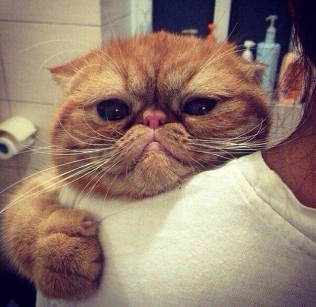 Daily Pictures. Part 2 (66 pics) Daily Pictures. Part 2 (66 pics)