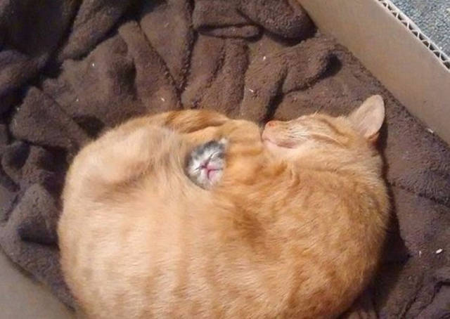 Daily Pictures. Part 2 (66 pics) Daily Pictures. Part 2 (66 pics)