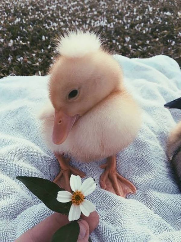 Daily Pictures. Part 2 (66 pics) Daily Pictures. Part 2 (66 pics)