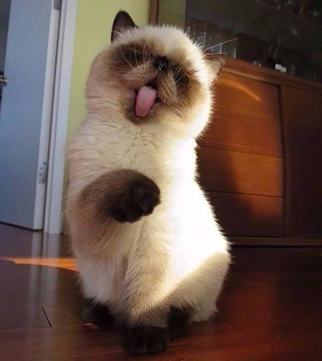 Daily Pictures. Part 2 (66 pics) Daily Pictures. Part 2 (66 pics)