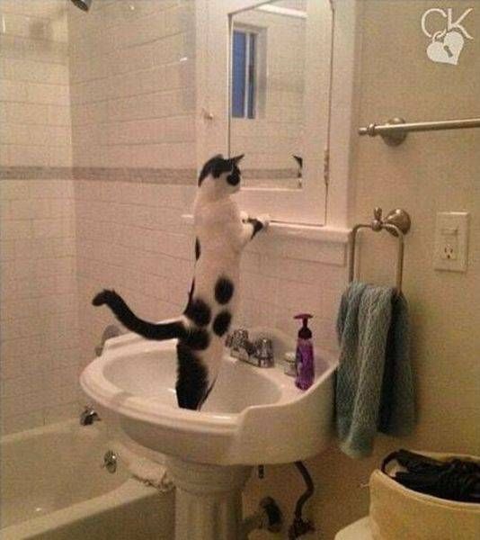 Daily Pictures. Part 2 (66 pics) Daily Pictures. Part 2 (66 pics)