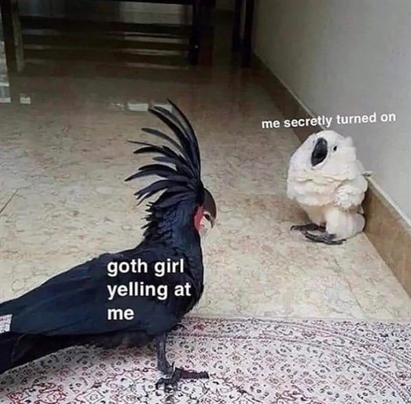 Daily Pictures. Part 2 (66 pics) Daily Pictures. Part 2 (66 pics)