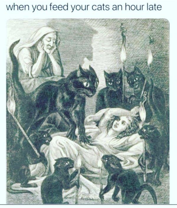 Daily Pictures. Part 2 (66 pics) Daily Pictures. Part 2 (66 pics)