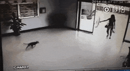 Acid GIFs, February 19 (25 gifs) Acid GIFs, February 19 (25 gifs)