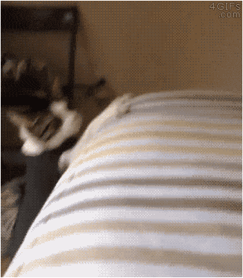 Acid GIFs, February 19 (25 gifs) Acid GIFs, February 19 (25 gifs)