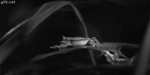 Acid GIFs, February 19 (25 gifs) Acid GIFs, February 19 (25 gifs)