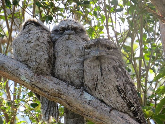 Daily Pictures. Part 1 (65 pics)