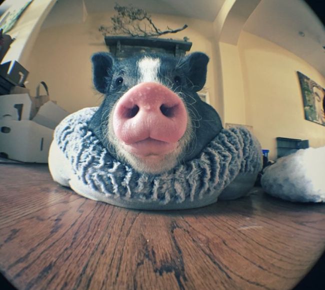 Daily Pictures. Part 1 (65 pics)