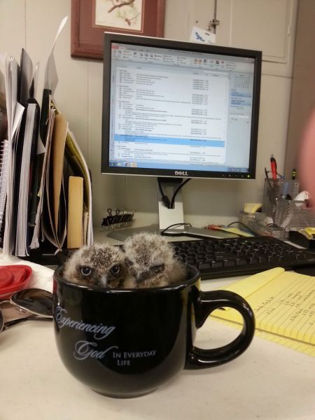 Daily Pictures. Part 1 (65 pics)