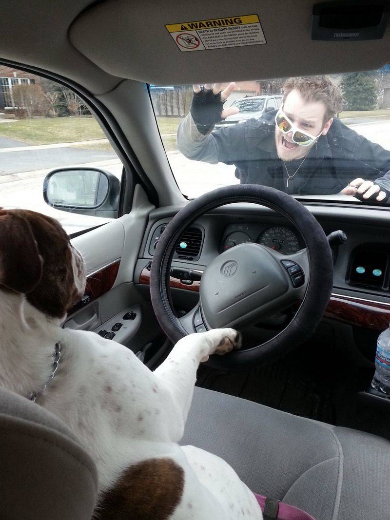 Daily Pictures. Part 1 (65 pics)