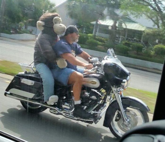 Daily Pictures. Part 1 (65 pics)