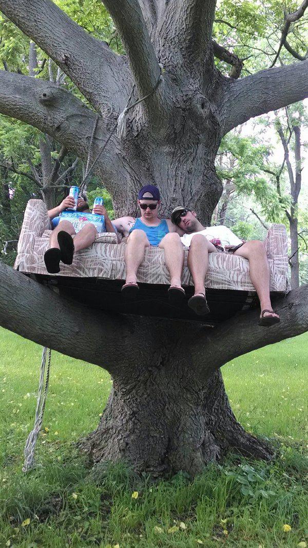 Daily Pictures. Part 1 (65 pics)