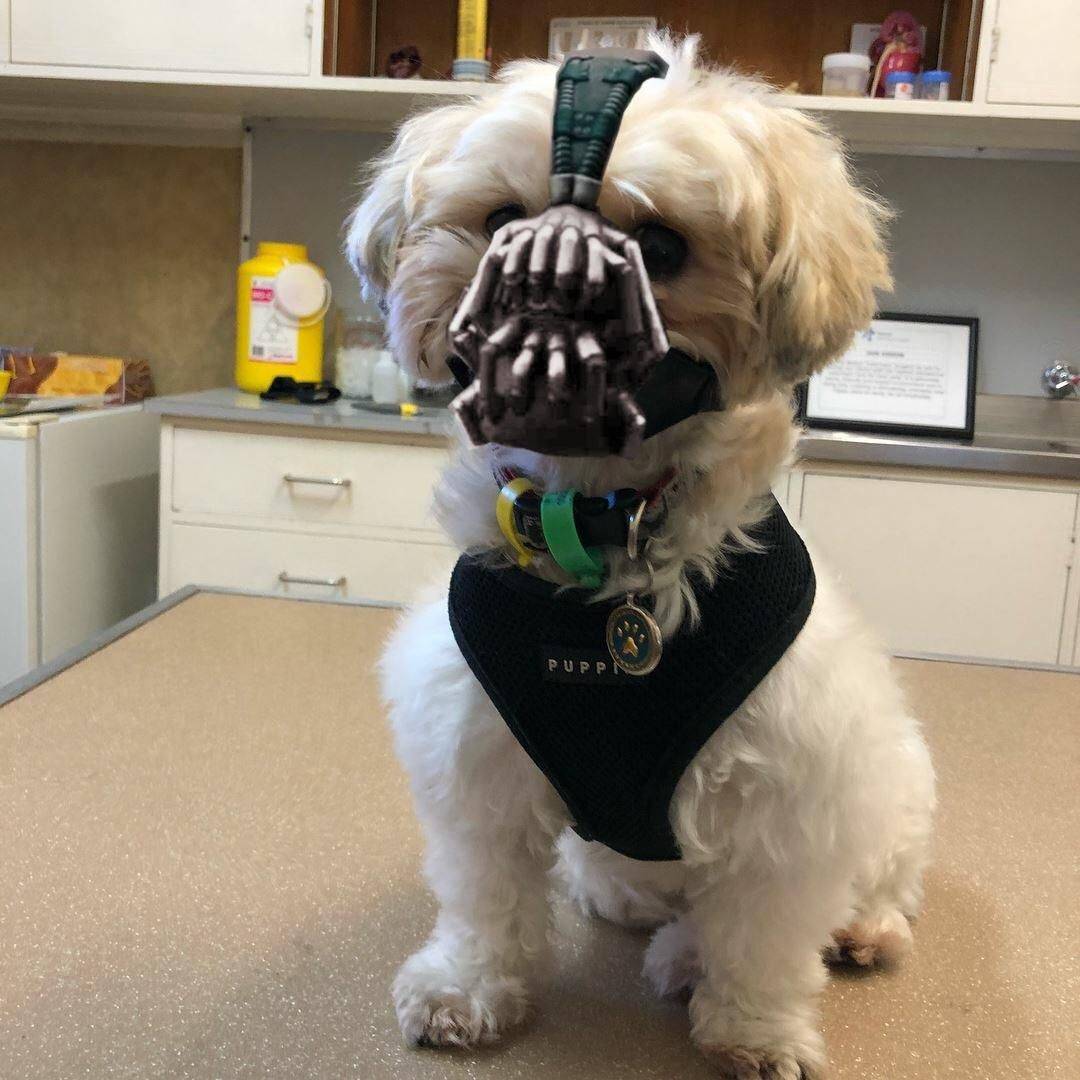 Daily Pictures. Part 1 (65 pics)