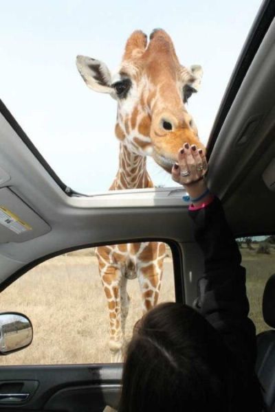 Daily Pictures. Part 1 (65 pics)