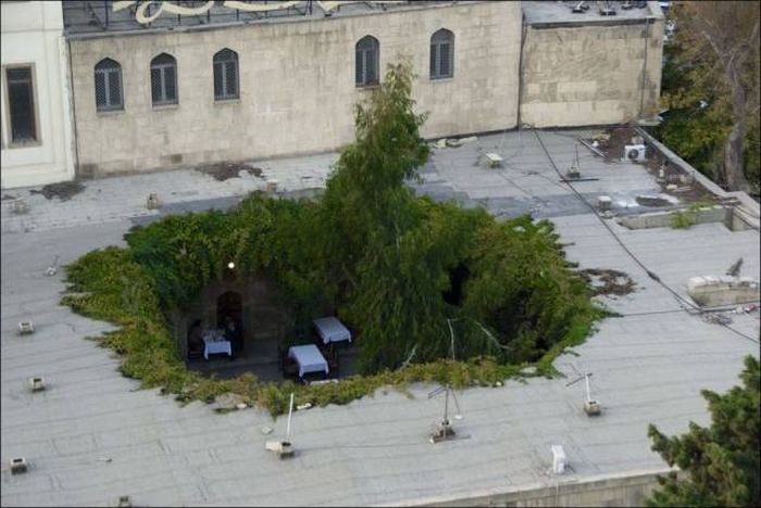 Daily Pictures. Part 1 (65 pics)