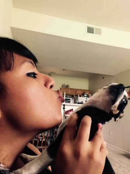 Daily Pictures. Part 1 (65 pics)