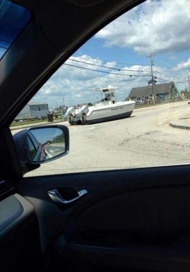 Daily Pictures. Part 1 (65 pics)