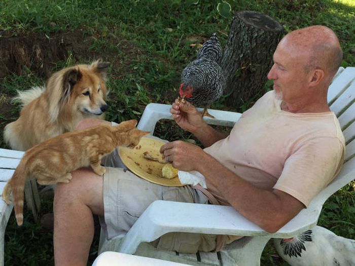 Daily Pictures. Part 1 (65 pics)