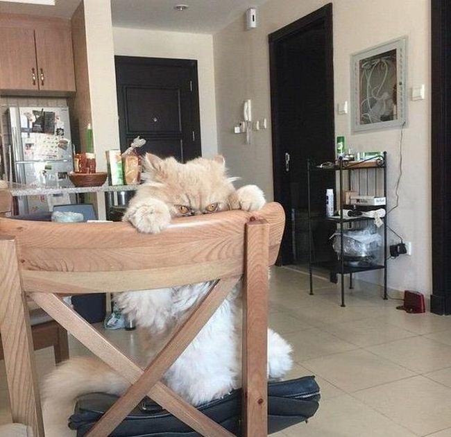 Daily Pictures. Part 1 (65 pics)