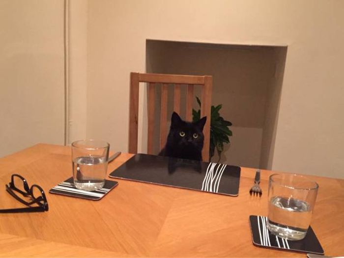 Daily Pictures. Part 1 (65 pics)