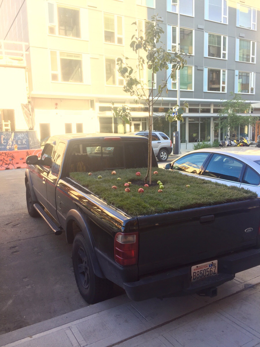 Daily Pictures. Part 1 (65 pics)