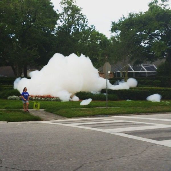 Daily Pictures. Part 1 (65 pics)