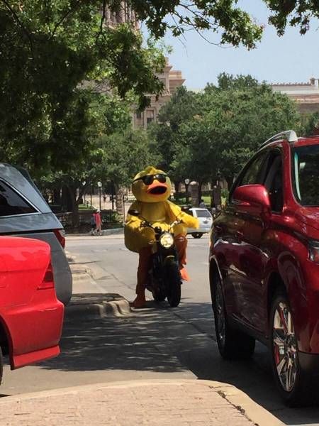 Daily Pictures. Part 1 (65 pics)