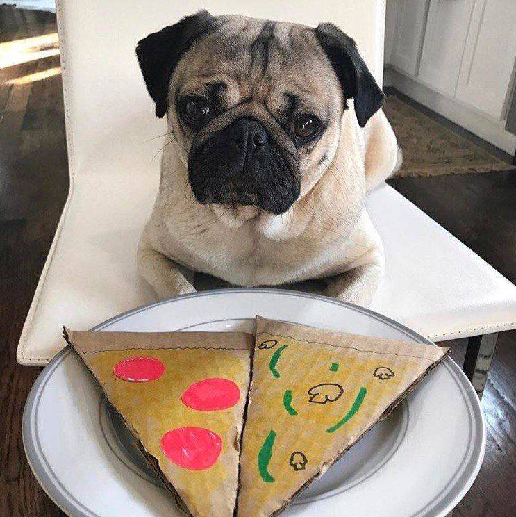 Daily Pictures. Part 2 (64 pics)