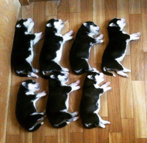 Daily Pictures. Part 2 (64 pics)