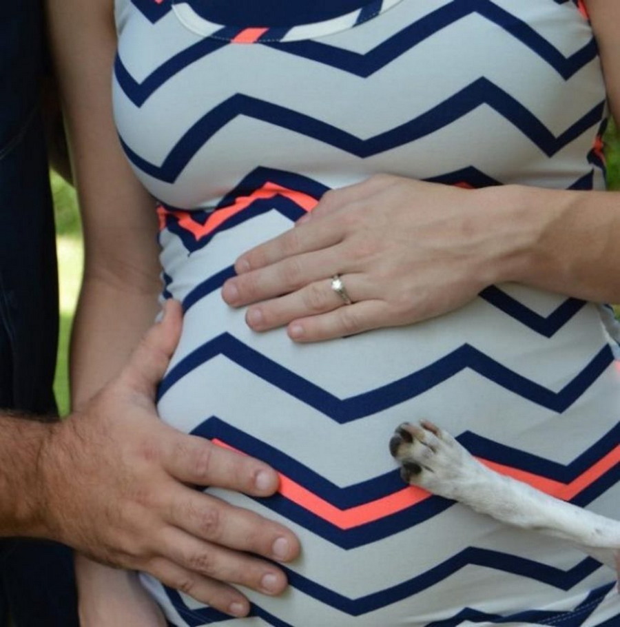 Daily Pictures. Part 2 (64 pics)