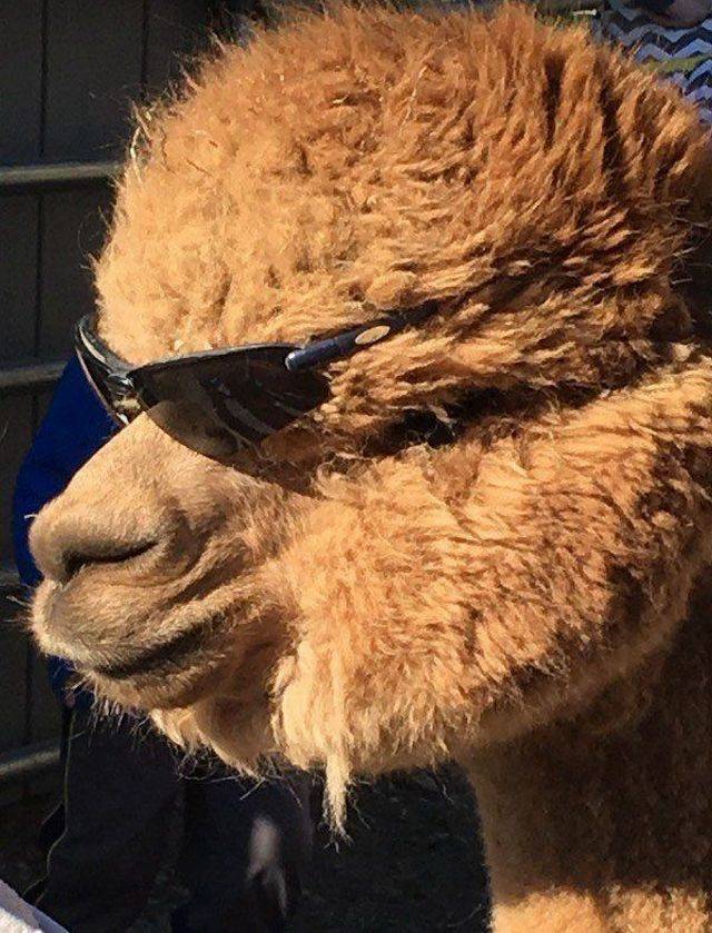 Daily Pictures. Part 2 (64 pics)