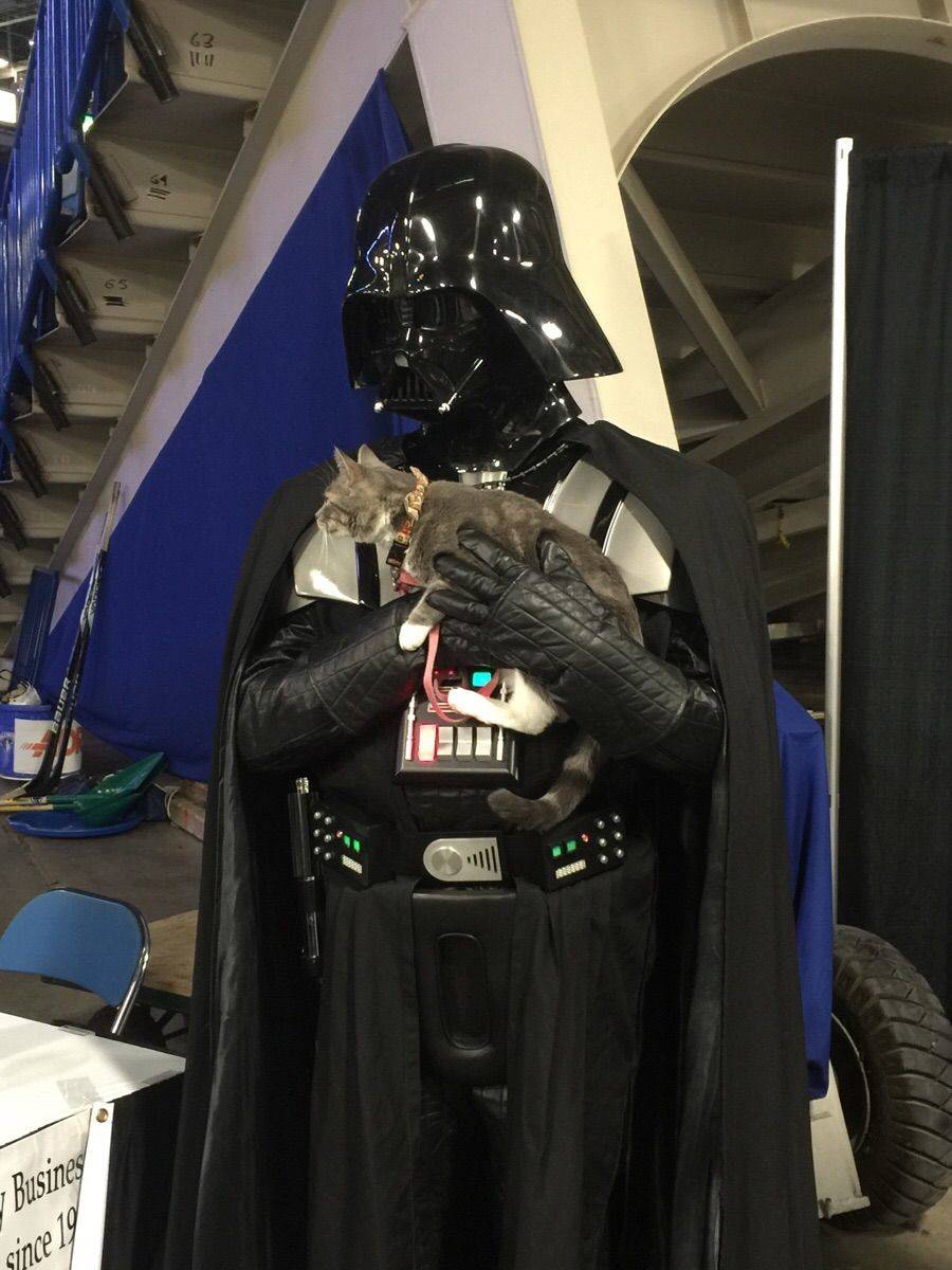 Daily Pictures. Part 1 (65 pics)